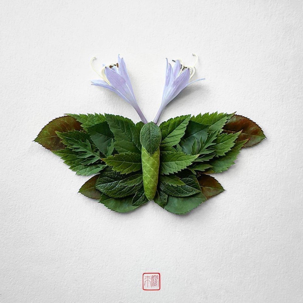 natura 6