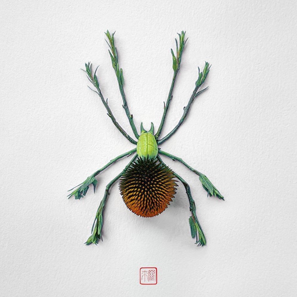 natura 8