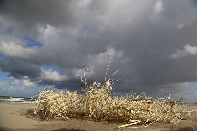 strandbeest 5