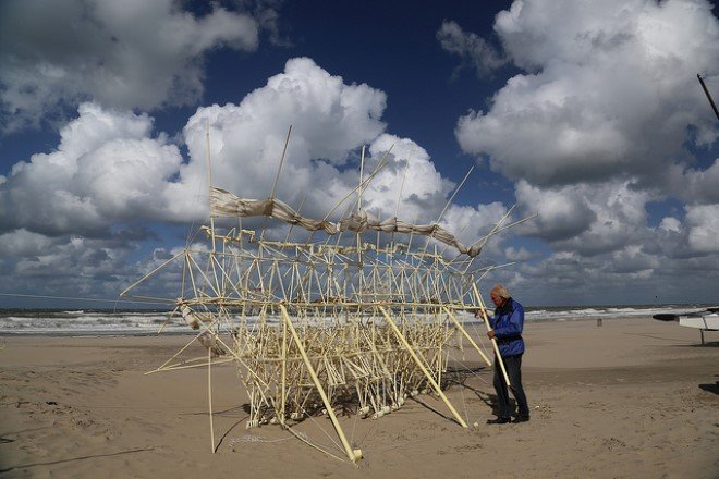 strandbeest 7