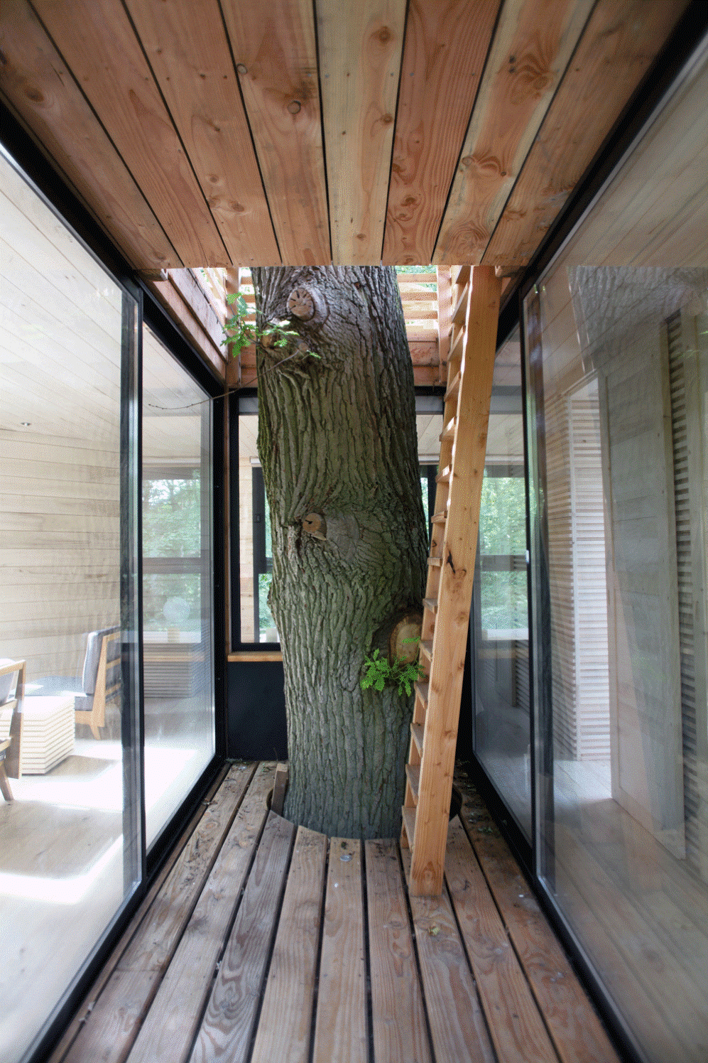 treehouse 9