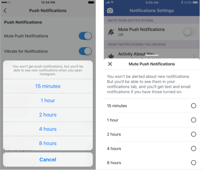 Facebook and Instagram Mute