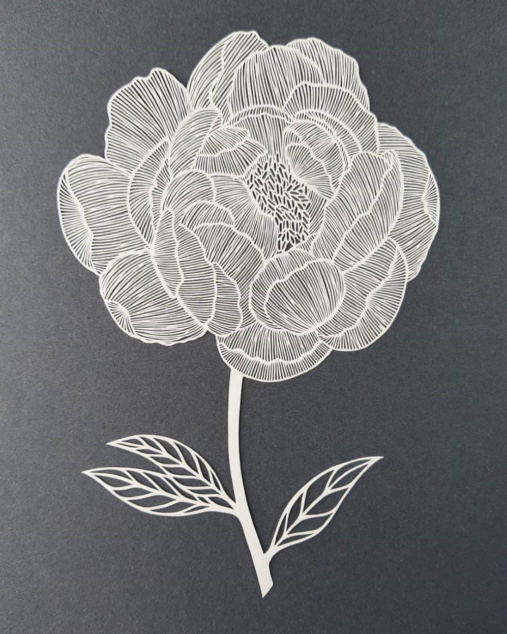 Pippa Dyrlaga Intricate Paper Art 4
