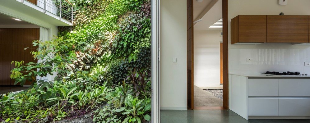 The Regimented House wrapped in greenery 13