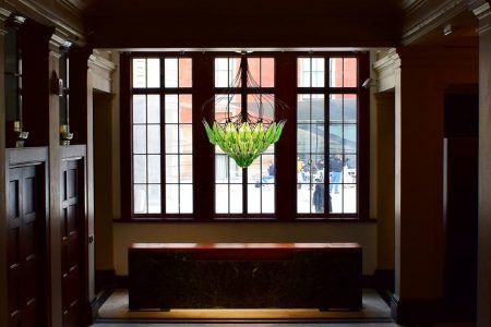 Light up your world with this living chandelier loaded with algae