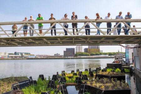This floating park uses recycled plastic as its building blocks