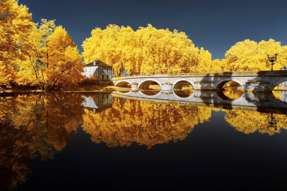 yellow 4