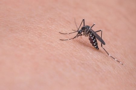 Ever wondered why mosquitoes would bite some people more than others? Well, here is the reason!