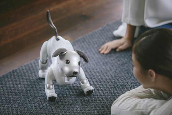 Sony Aibo Robot Dog 1