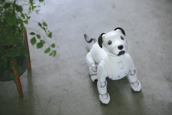 Sony Aibo Robot Dog 3