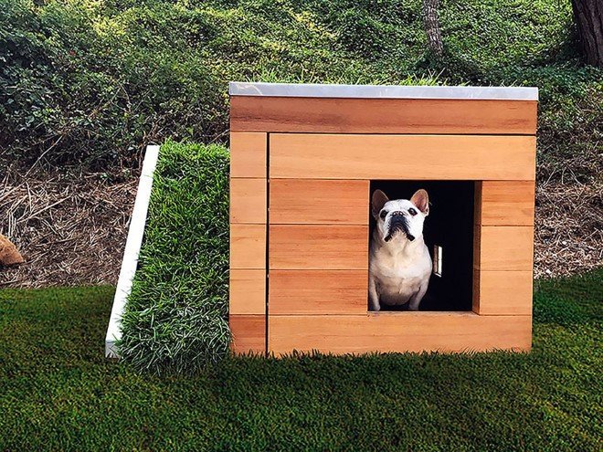 Studio Schicketanz Dog House 4