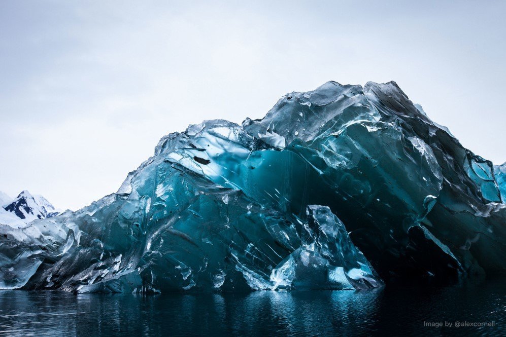 iceberg 5