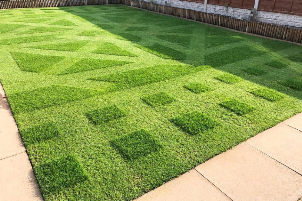 lawn 4