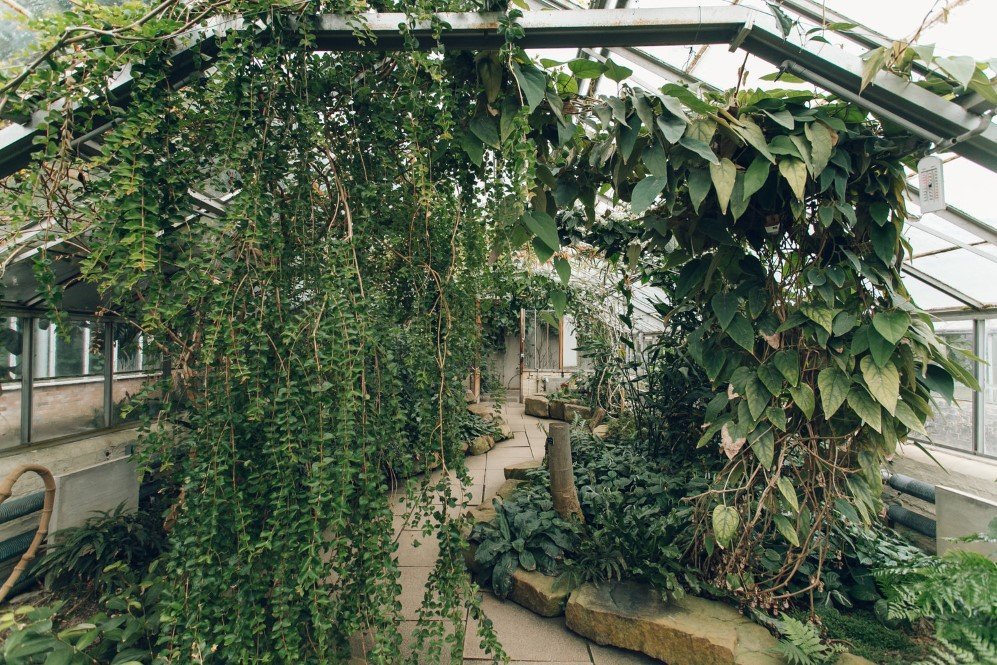 Cambridge University Botanic Garden — UK 4
