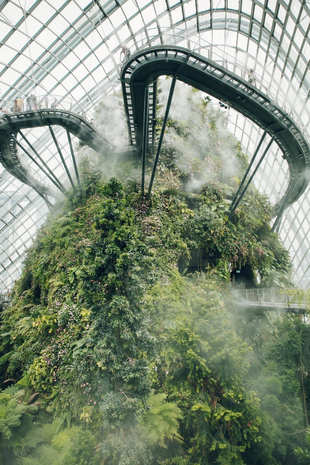 The Cloud Forest at Gardens by the Bay — Singapore