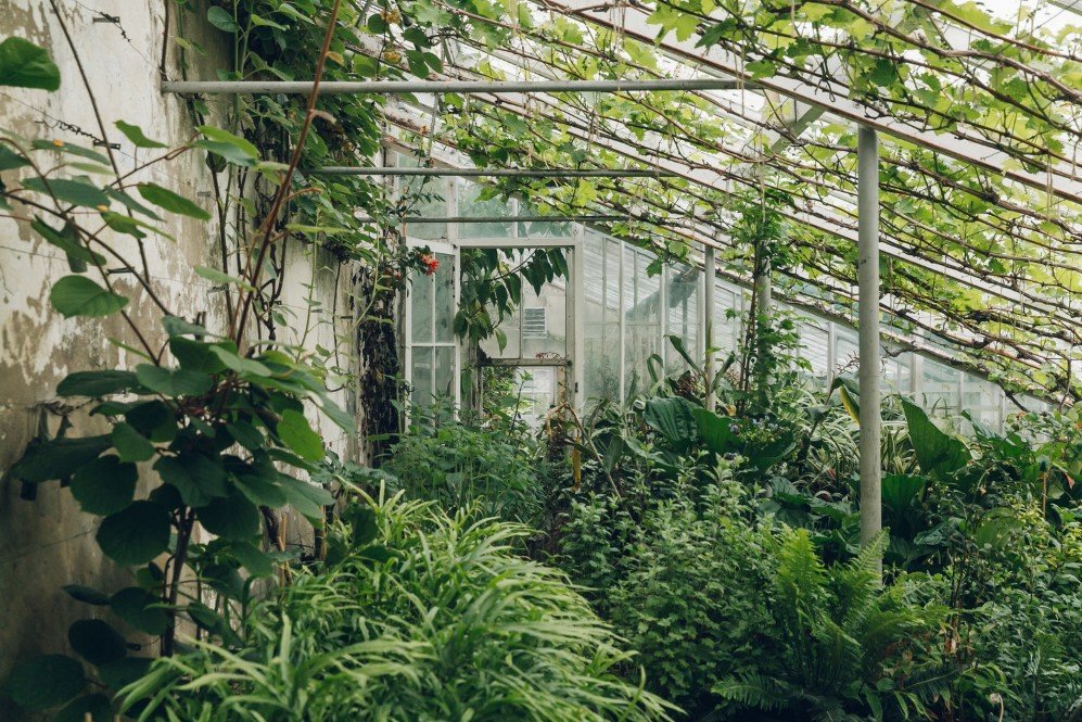 The Greenhouses of Forde Abbey — Somerset UK