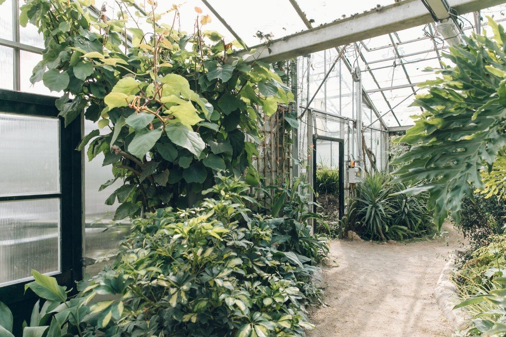 Wythenshawe Park Greenhouses — near Manchester 1