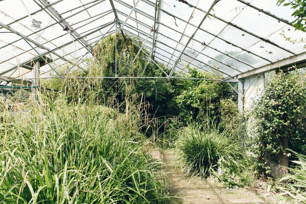Wythenshawe Park Greenhouses — near Manchester 3