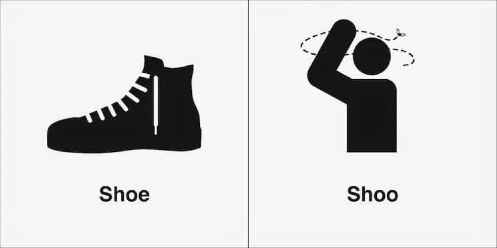 homophones 12