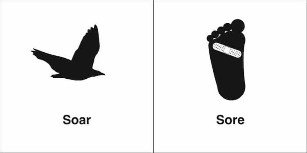 homophones 13