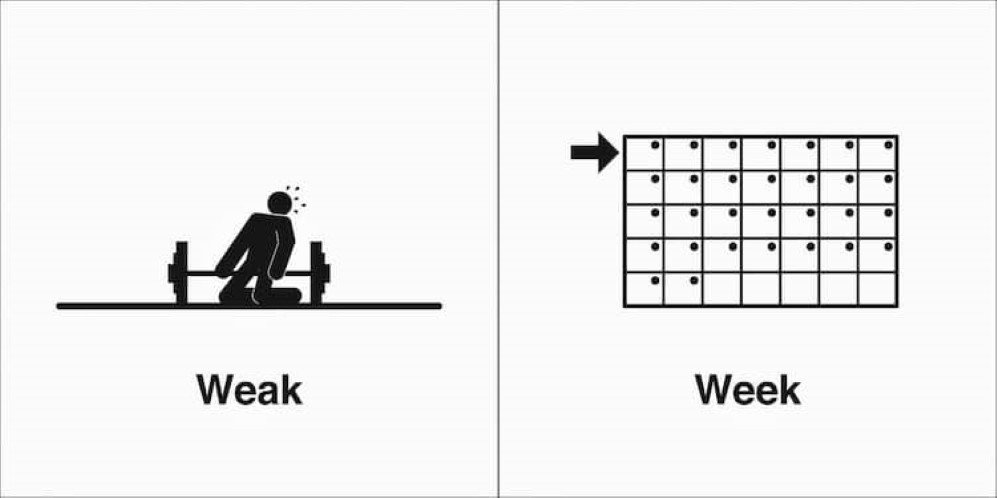 homophones 15