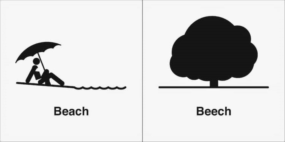 homophones 3