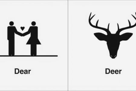 Bruce Worden makes homophones easy to remember with his clever illustrations