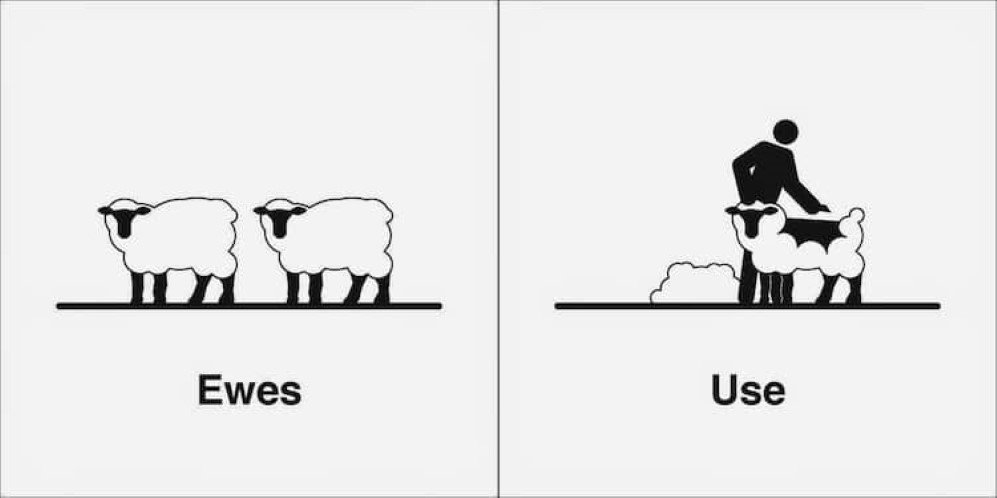 homophones 5