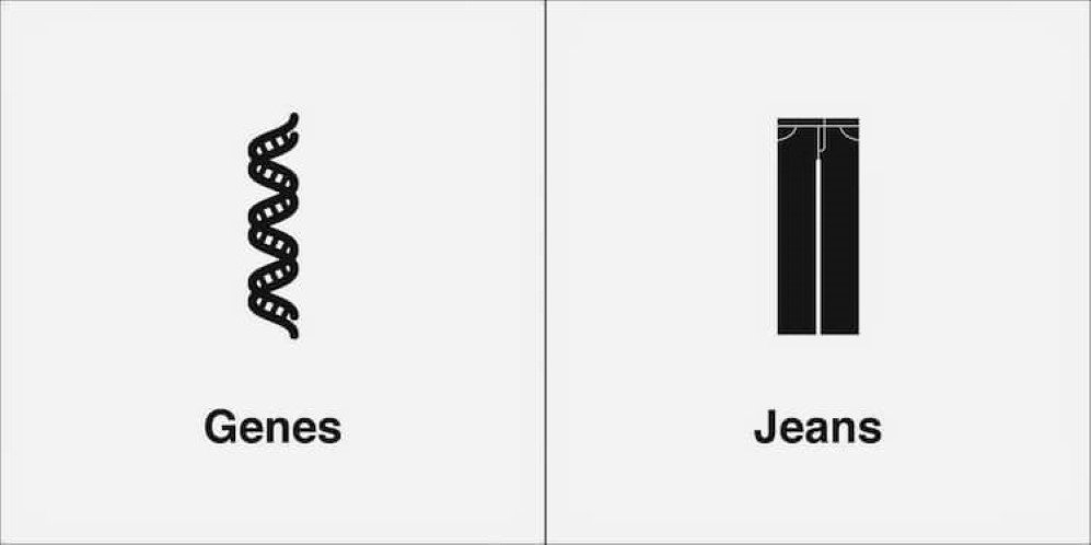 homophones 7