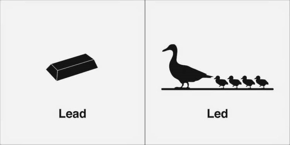 homophones 9