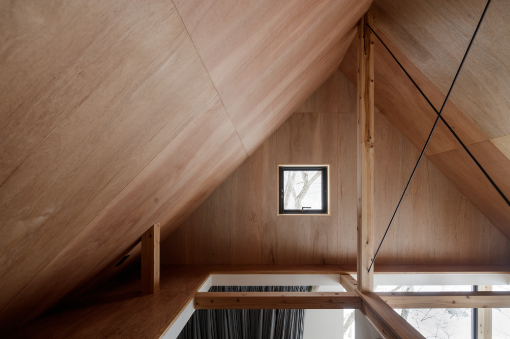 house 9