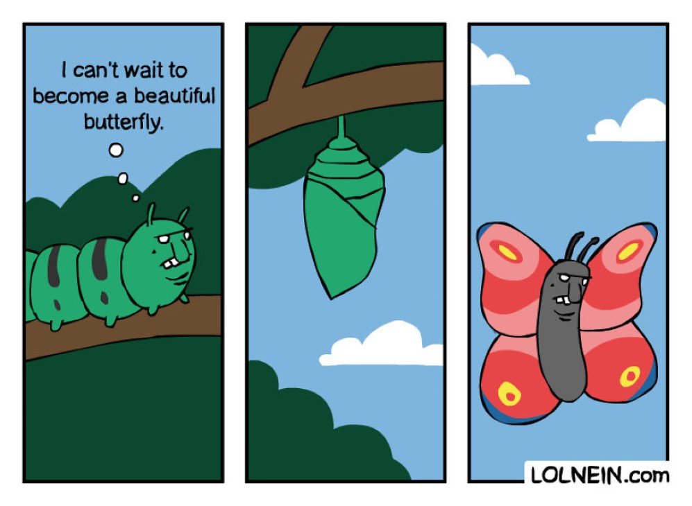 lolnein 11