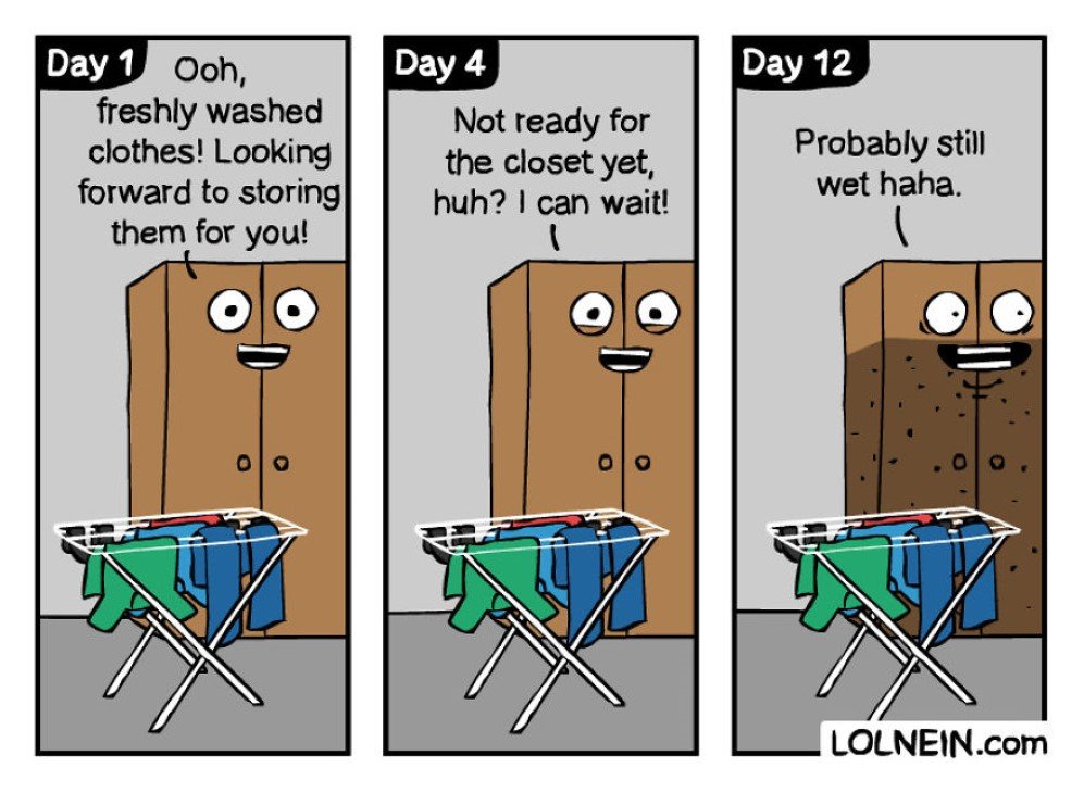 lolnein 4
