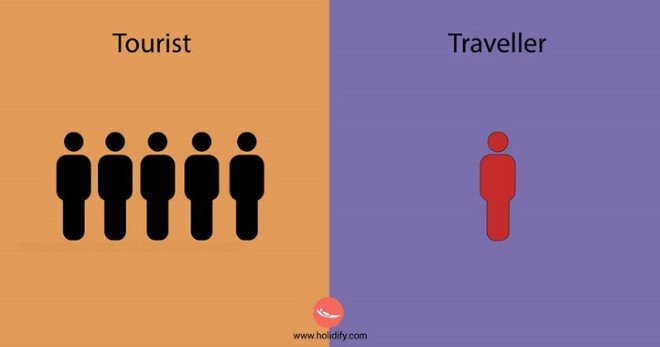 traveler 6
