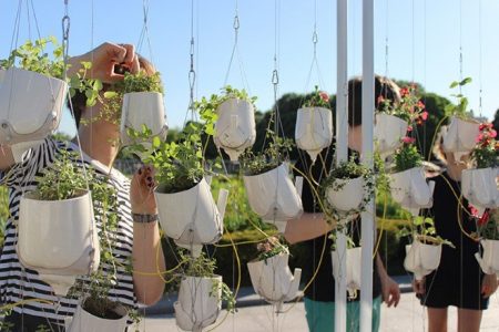 Green Spark project produces renewable energy from plants via photosynthesis
