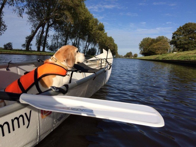 ONAK Foldable Canoe 4