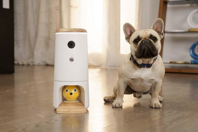 Pupple Dog Toy 1
