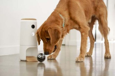 Pupple’s autonomous pet toy ‘The Bird’ will keep your dog entertained