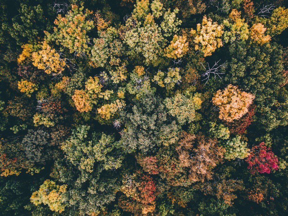 aerial 10