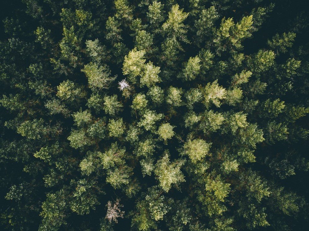 aerial 3