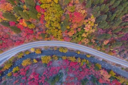 Drone pilot captures vividly hued forest of Utah in amazing video