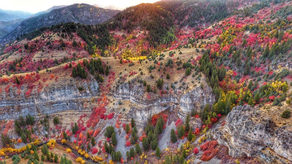 utah 6