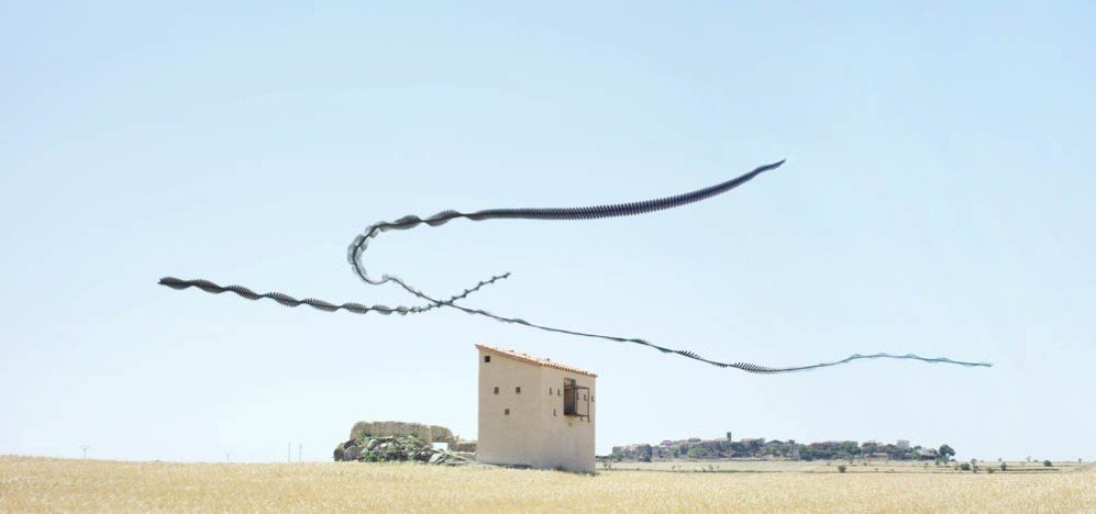 birds 2