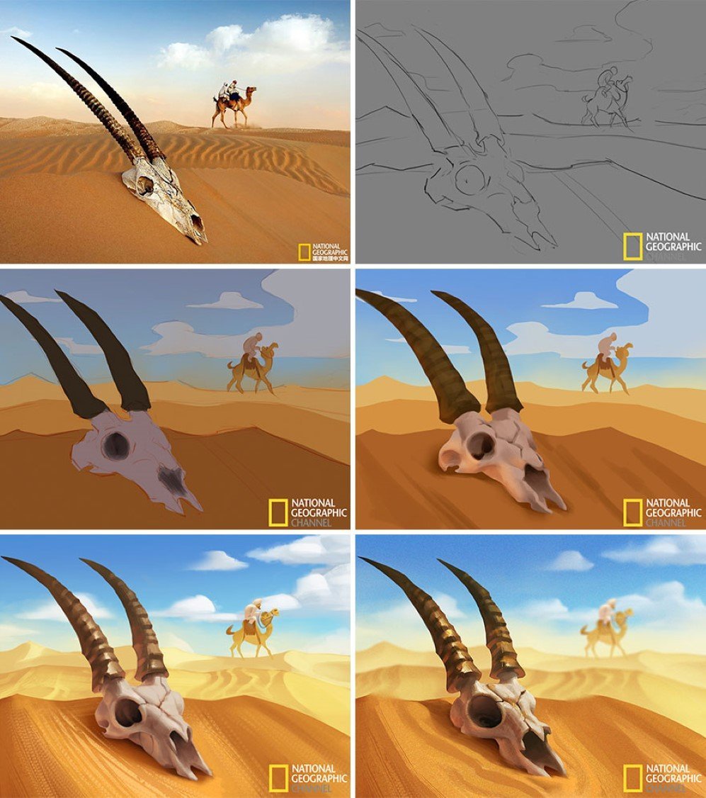 illustrations 1