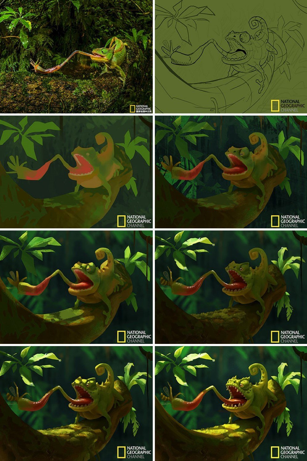 illustrations 3