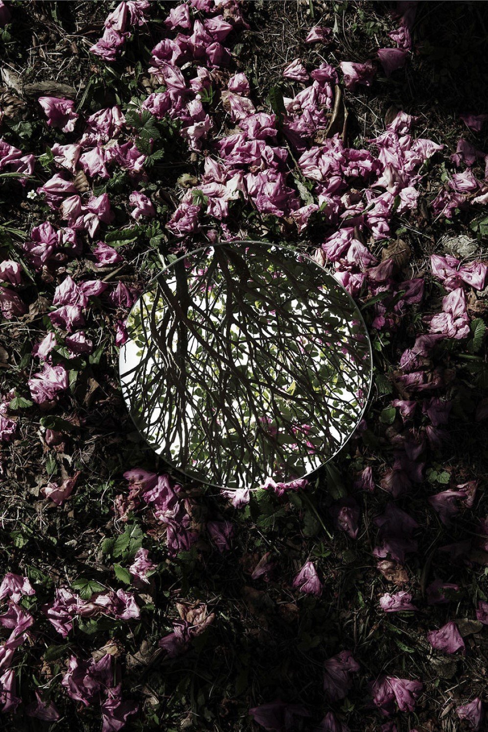 mirrors 14