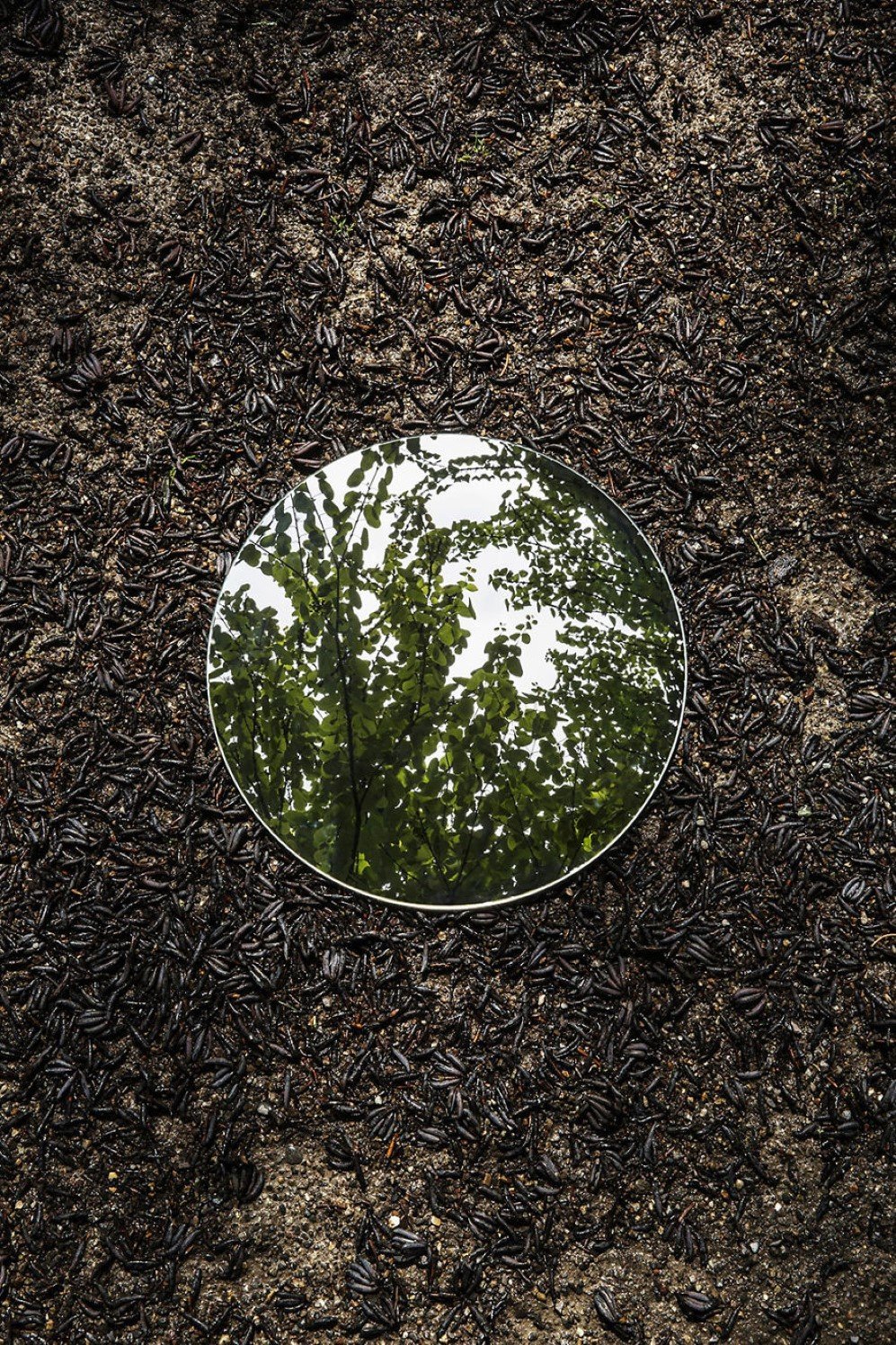 mirrors 6