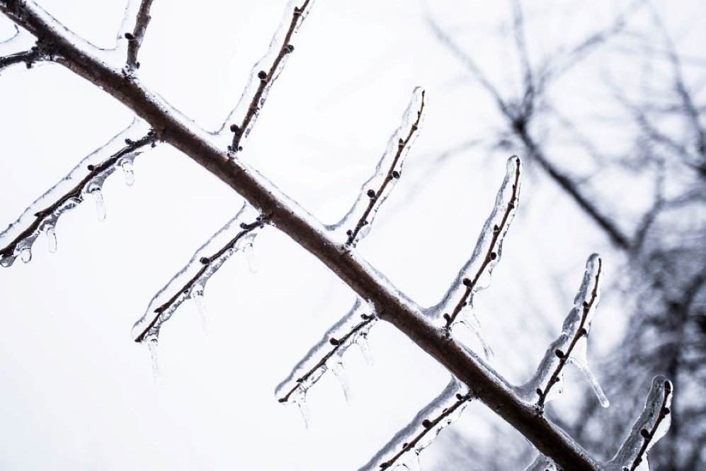 frozen rain 10