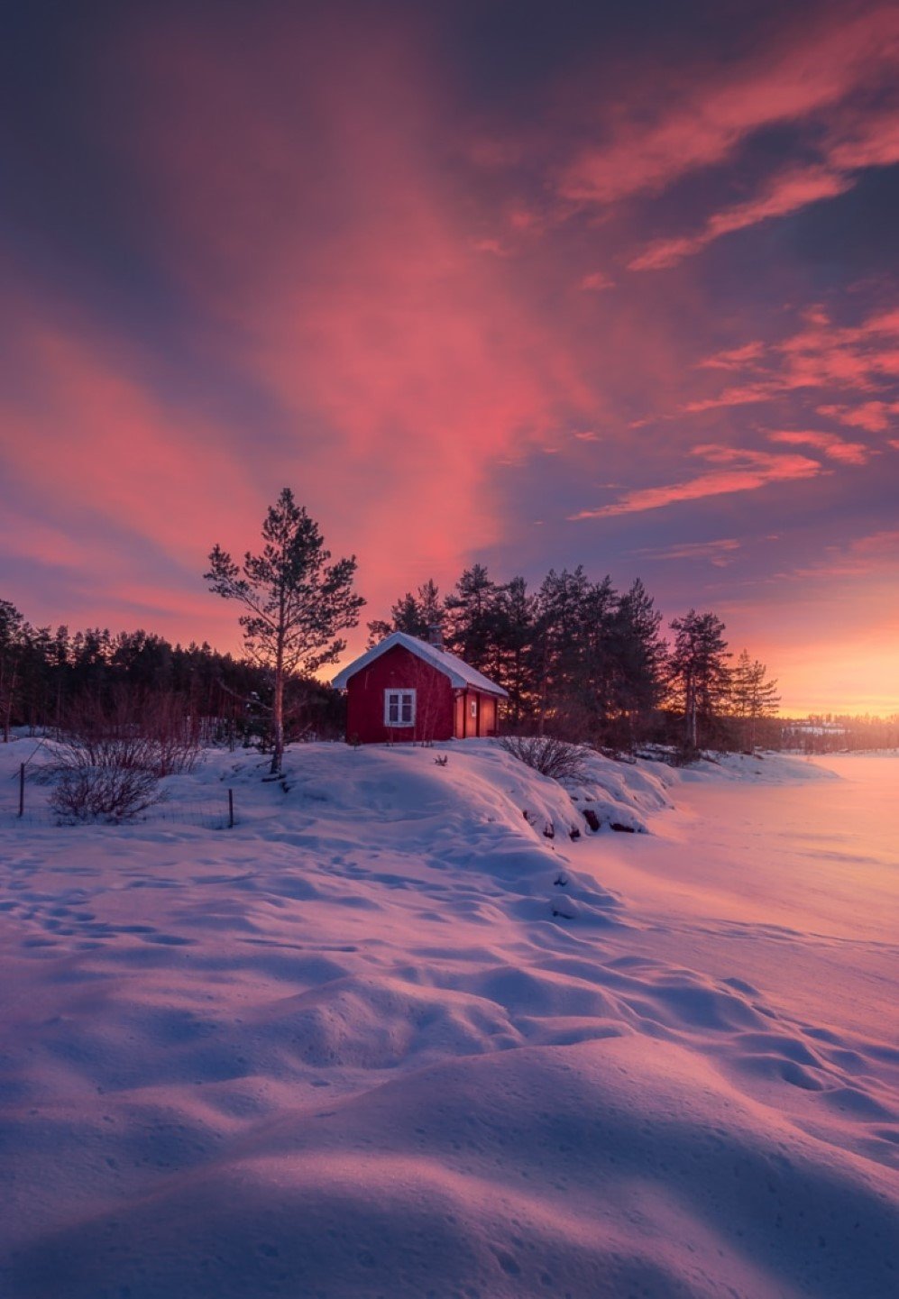 red cabin 7