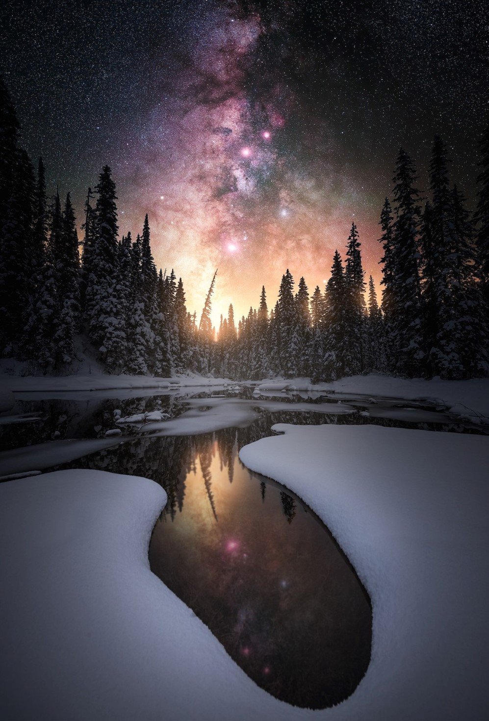 stars 4